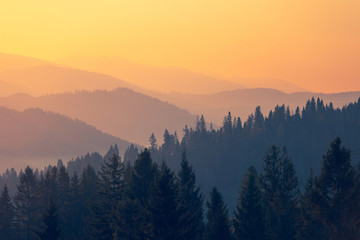 战恋雪又叫什么名字