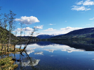 战恋雪又叫什么名字