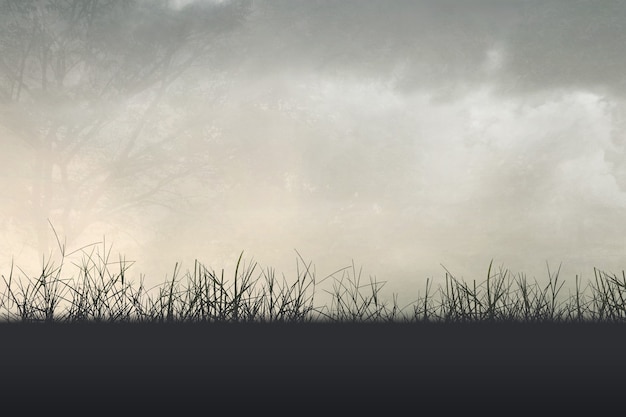 寻~！第一个字是“h”发音的动漫