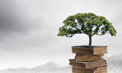 有寓意密码6位数开头